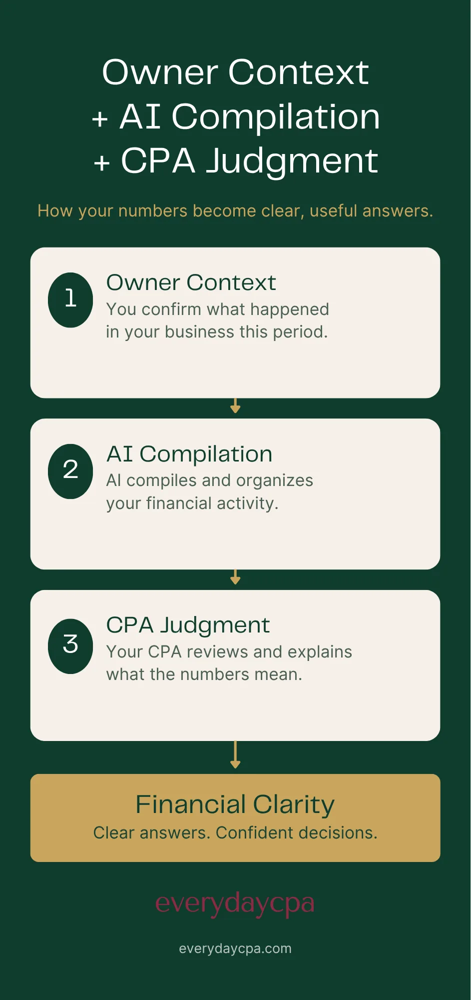 CPA Owner→AI→Judgment Infographic